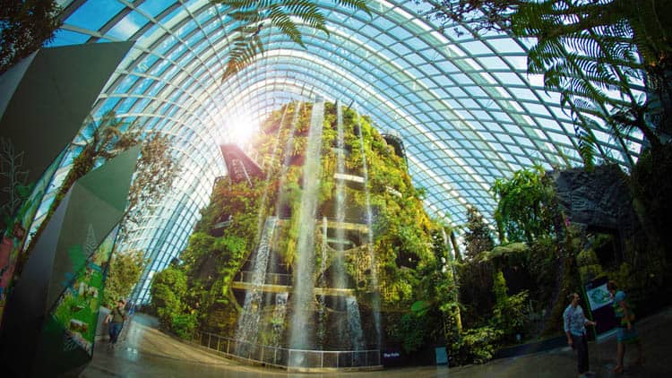 cloud-forest-singapore-garden-by-the-bay