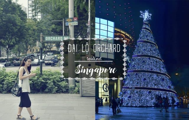 orchard-dai-lo-singapore