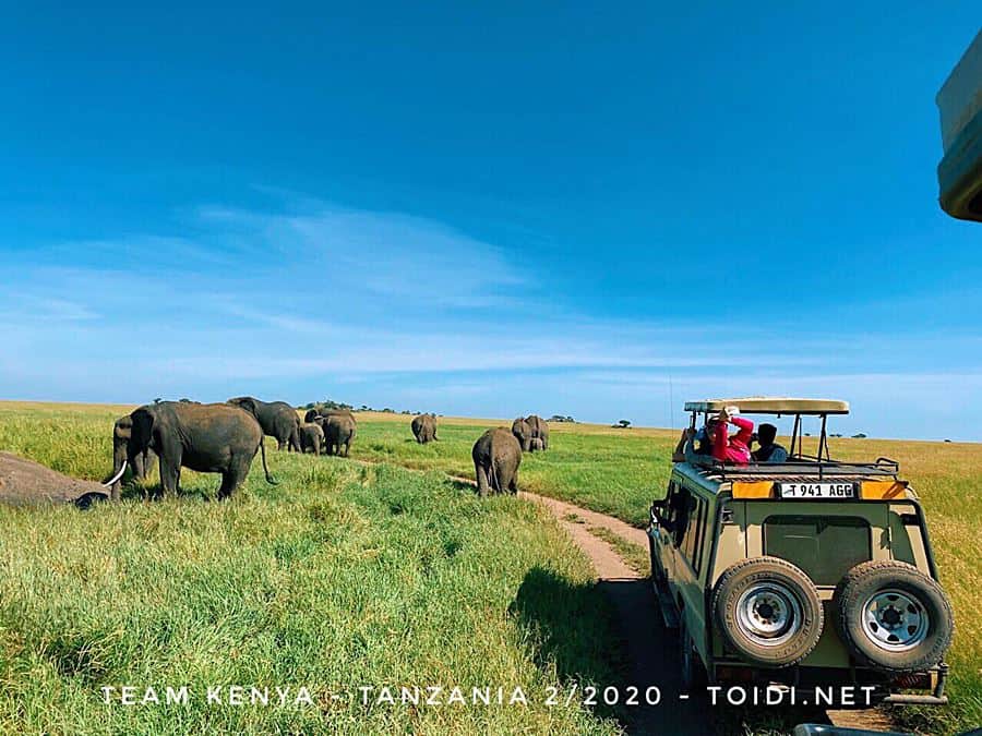 Kinh nghiệm Du lịch Tanzania Nên đi như thế  nào?