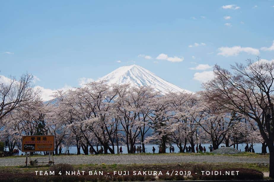Tour Nhật Bản 5N5Đ Cung Đường Vàng | Osaka – Shirakawa Go – Fuji – Tokyo