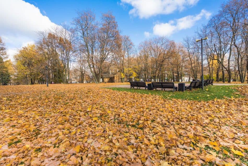 Mùa thu tuyệt đẹp ở công viên Kolomenskaya (nguồn: russiatrek)