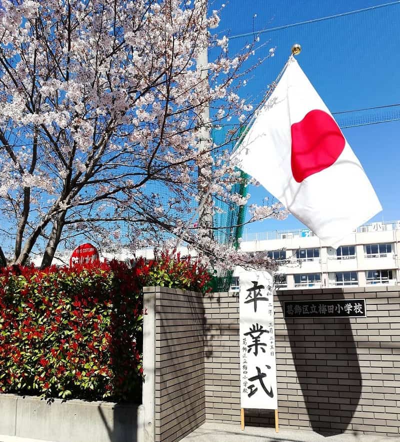 Lịch sử cờ Nhật Bản:
Cờ Nhật Bản được sử dụng từ thế kỷ thứ 16 và trải qua nhiều biến động trong lịch sử của đất nước. Lá cờ cũ dùng từ thế kỷ 7 đến thế kỷ 14 có tên là \'Nisshōki\' với hình ảnh tàu giấy đang bay trên sóng. Tuy nhiên, cờ Hinomaru - lá cờ đang sử dụng hiện nay được chấp nhận từ năm 1999 vào lễ hiến quốc của người bạn bè Tổng thống Mỹ Bill Clinton.