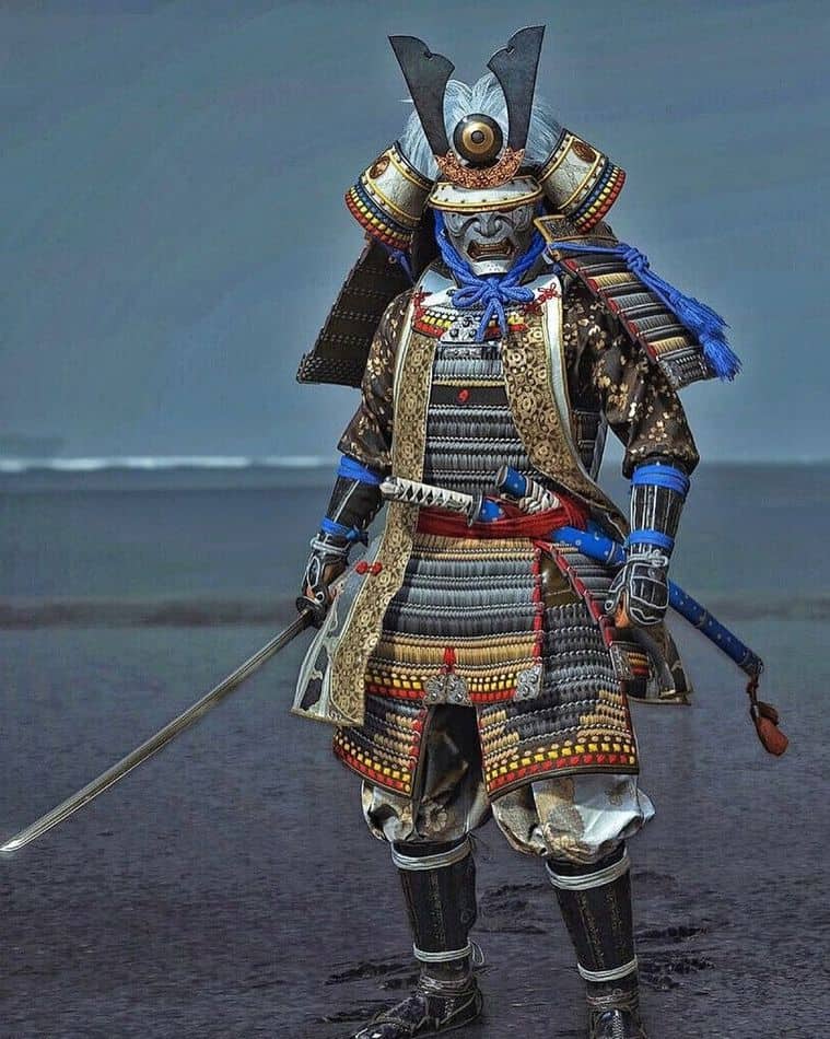 Samurai là gì? Họ có phải là Võ Sĩ Nhật Bản không? - Toidi.net