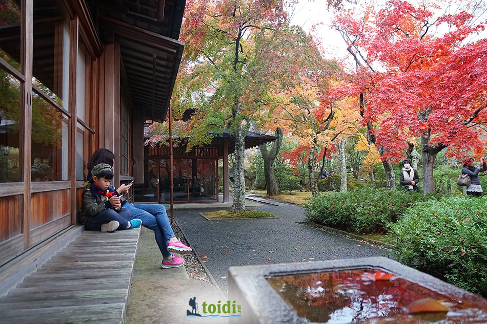 Du lịch Hakone Tự túc có gì đặc sắc?